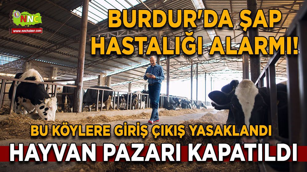 Burdur Haber - Burdur'da şap hastalığı alarmı!