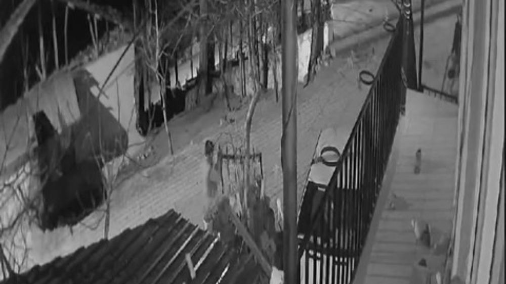  Tokat'ta Mezarlık Kapısı Çalan Hırsızlar Kameralara Yakalandı!
