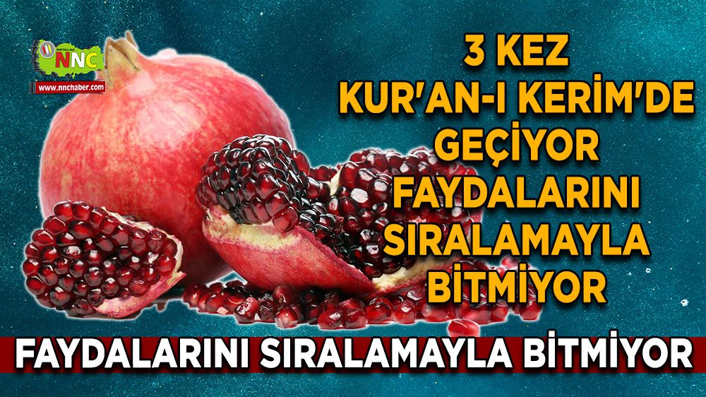 Türkiye'de 15 çeşidi var! Adı 3 kez Kur'an-ı Kerim'de geçiyor Faydalarını sıralamayla bitmiyor