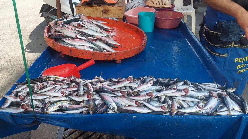Uskumru 150 Lira, İstavrit 70 Lira: Tekirdağ'da Balık Fiyatları