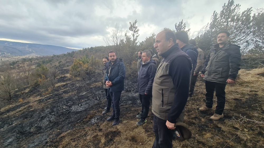 Zonguldak Orman Bölge Müdürü Faruk Bayraktaroğlu Ovacık'ta incelemelerde bulundu