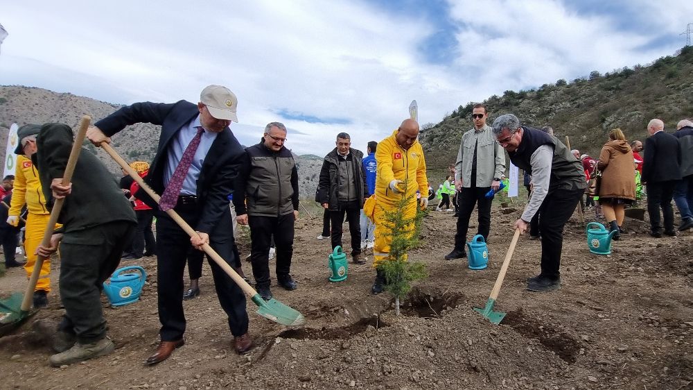 Amasya'da Ağaçlandırma Başarısı: Türkiye, Dünya 4.'sü ve Avrupa 1.'si! -Haberler