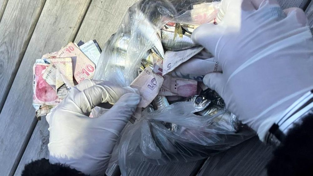 Balık poşetinin içinden 500, pideden 300 TL çıktı - Haberler