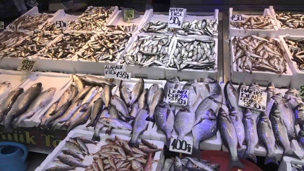 Balıkçılar Şaşkın: Fiyatlar Uygun, Ancak Vatandaş Balığı Tercih Etmiyor - Haberler