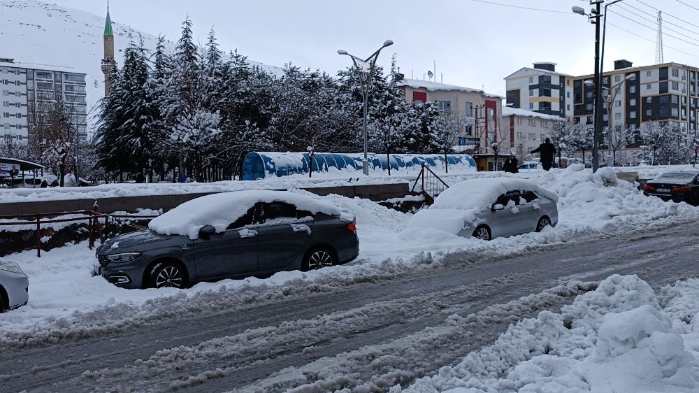 Bitlis'te 103 köy yolu kar yağışı nedeniyle kapandı