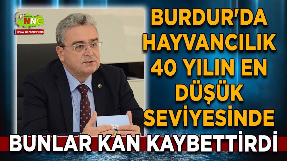Burdur Haber - Burdur'da büyükbaş hayvan varlığı %13,4 düştü