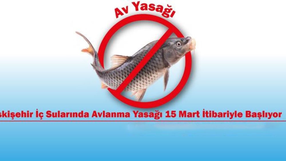 Eskişehir'de İç Su Balıkları Av Yasağı Başladı: Yasaklara Uymak Önemli!