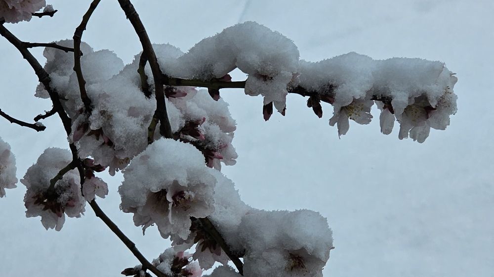 Kar Kalınlığı 5 Santimetreye Ulaştı: Gümüşhane'de Kar Yağışı Etkili - Haberler