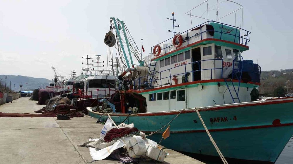 Karadeniz’de balıkçılar üzgün; balıklar küçük