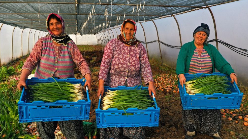 Kocaeli'de Çiftçilere Modern Sera Kurulum Desteği Başlıyor - Haberler