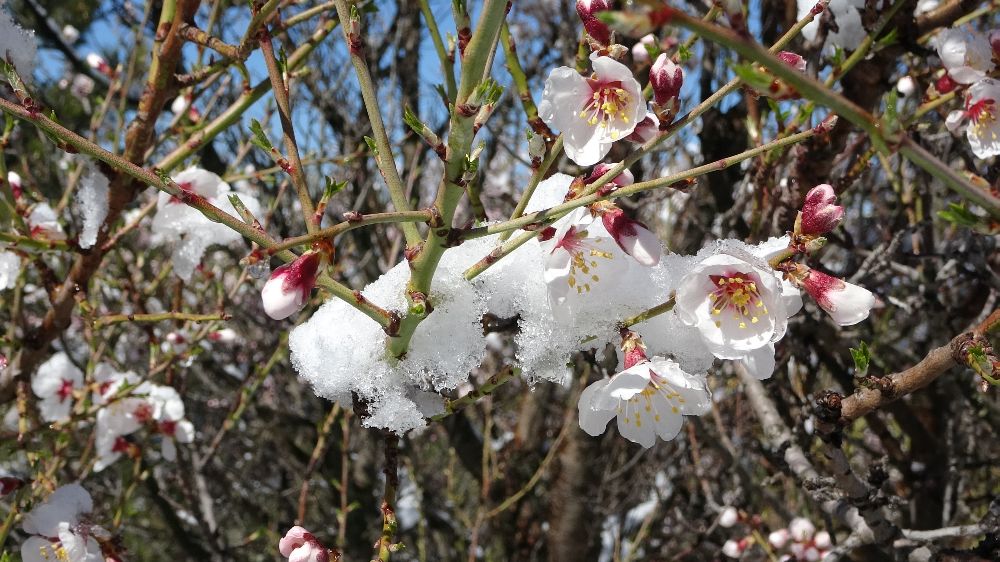 Kütahya'da Mart Ayında Kar Sürprizi: Yüksek Kesimler Beyaza Büründü! - Haberler