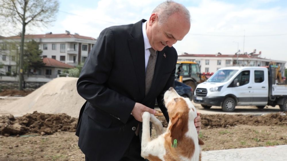 Sokak Köpekleri Sorununa Çözüm: Düzce Belediyesi İlkyardım Merkezleri Kuruyor - Haberler