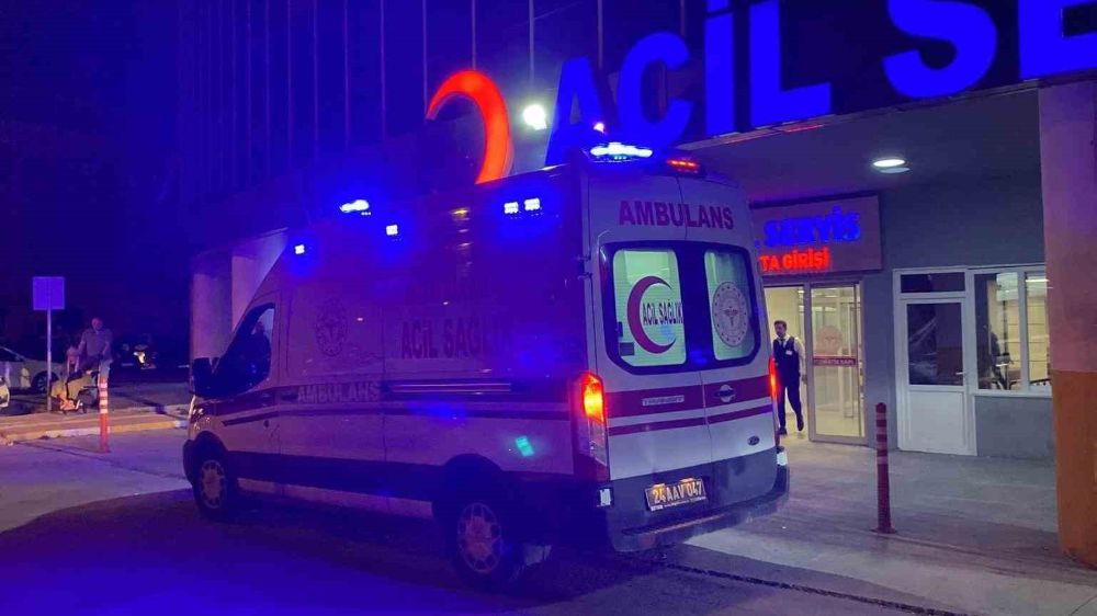 Tercan'da Meydana Gelen Trafik Kazasında 7 Kişi Yaralandı
