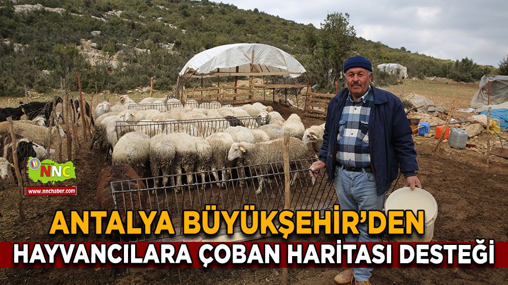 Antalya Büyükşehir Belediyesi Çoban Haritası ile Kırsal Hayvancılığı Destekliyor!