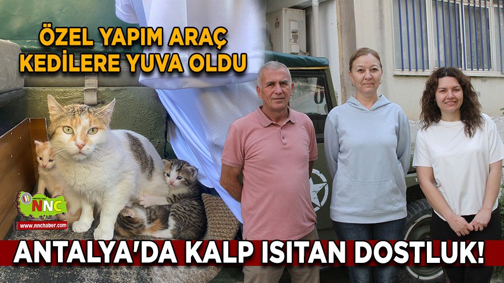 Antalya'da Kalp Isıtan Dostluk! Klasik Araba Kedilere Yuva Oldu!