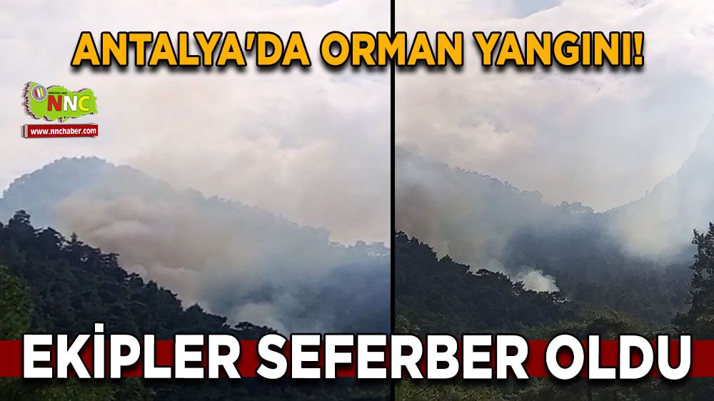 Antalya'da orman yangını! Ekipler seferber oldu