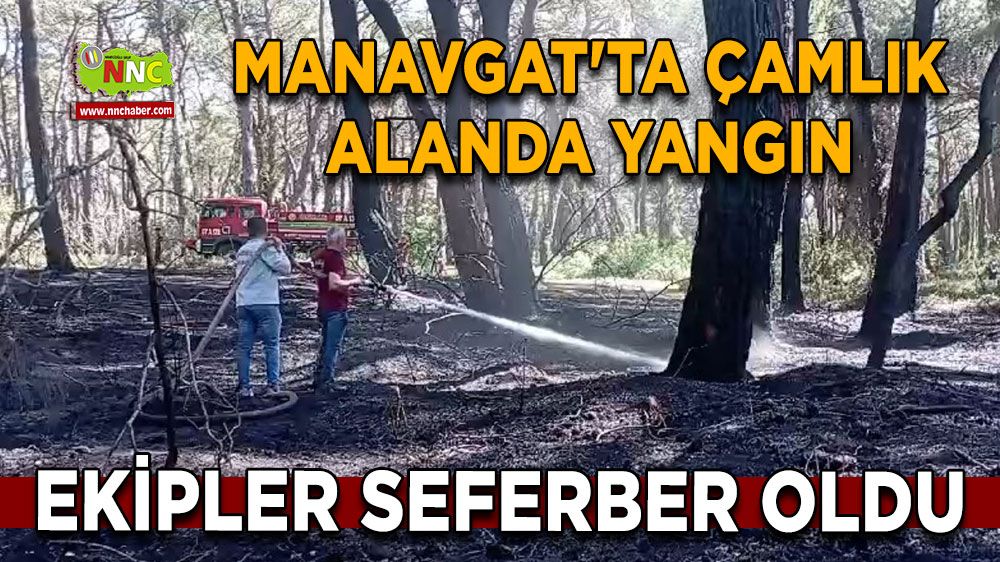 Antalya Manavgat Sorgun Çamlığı'nda Yangın! 3 Dönüm Arazi Zarar Gördü