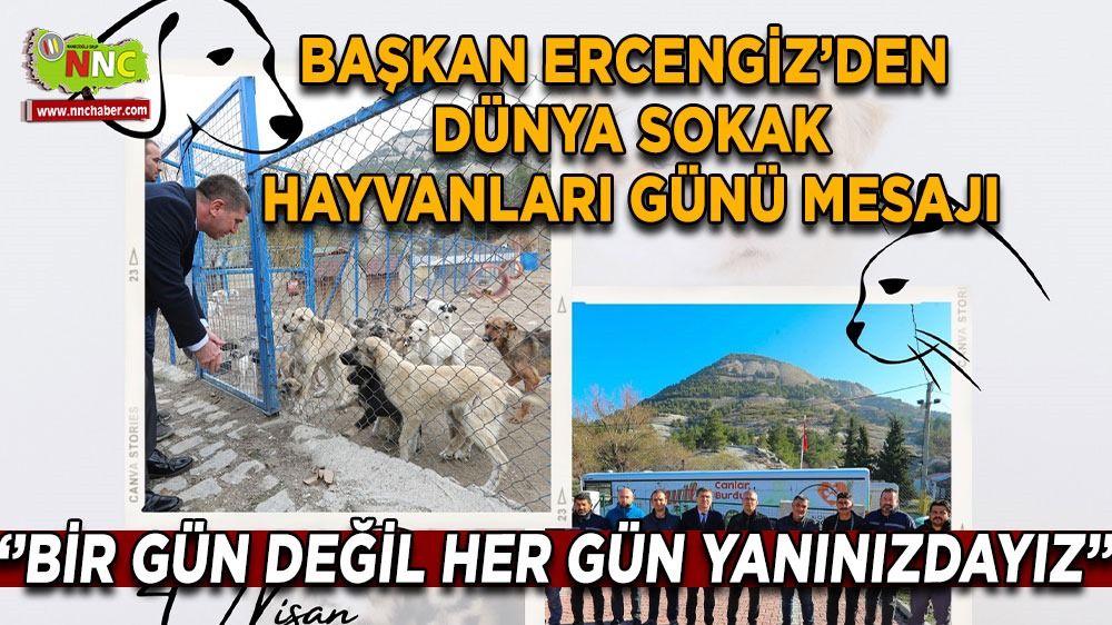 Başkan Ercengiz' den “Dünya Hayvanları Koruma Günü” mesajı