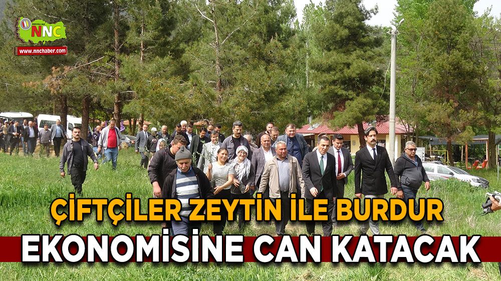 Burdur'da Gül ve Lavanta Üreticilerine Zeytin Fidanı Dağıtıldı!
