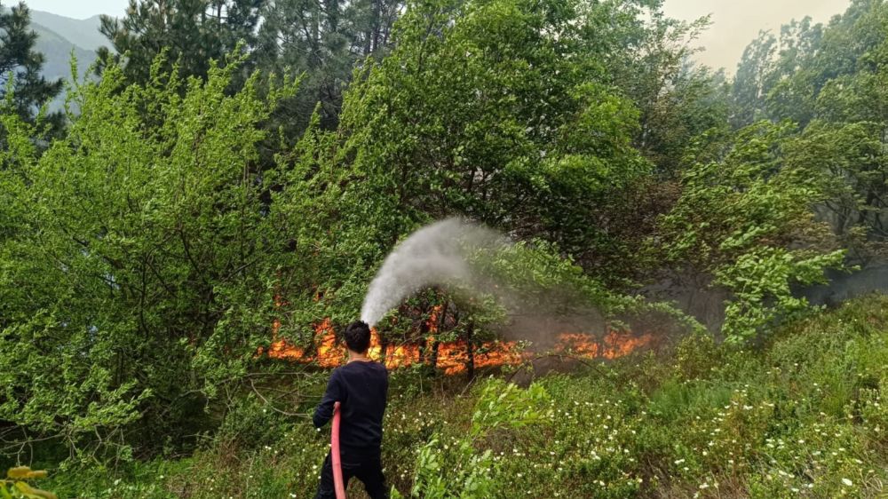 Kastamonu'da ormanlık alanda yangın çıktı 