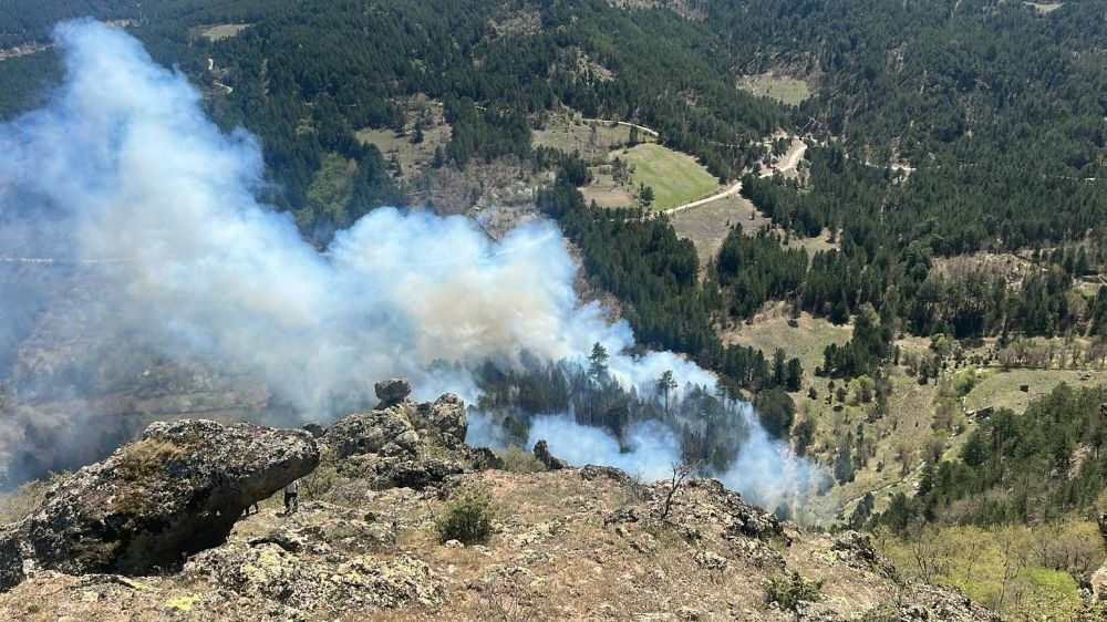 Kütahya Gediz'de Orman Yangını! 2 Hektarlık Alan Yandı!