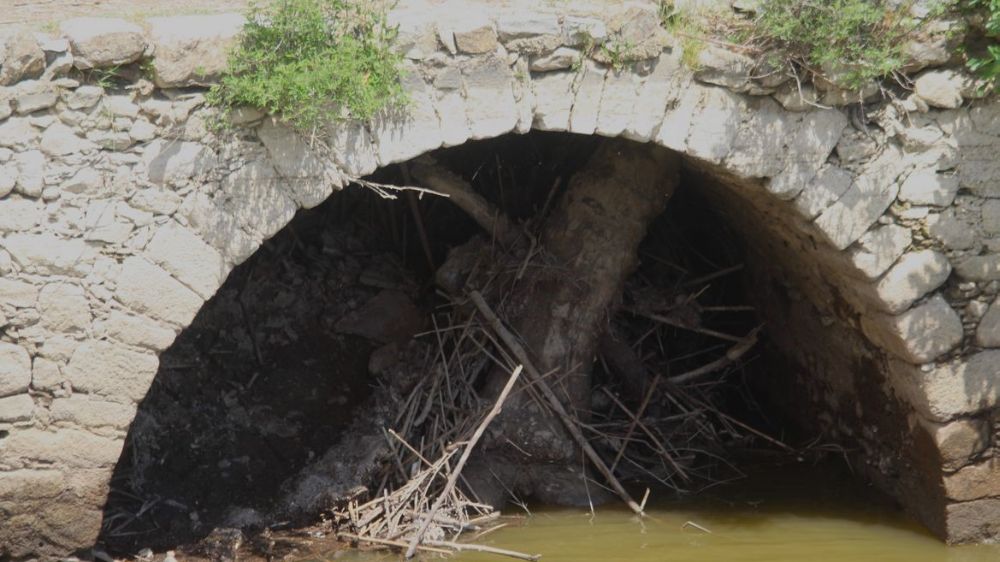 Menderes'te yaz gelmeden suyun azalması endişelendiriyor