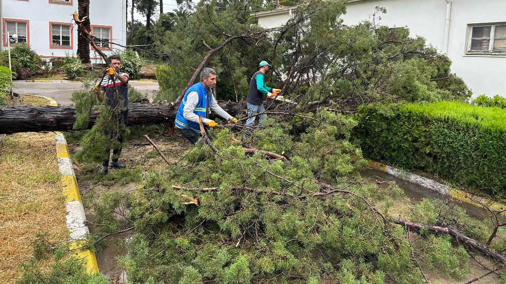 Nazilli Belediyesi yağışlar nedeniyle teyakkuza geçti