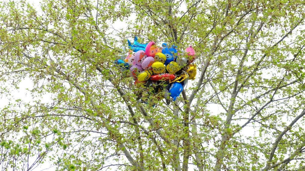 Uçan Balonlar Kaçtı: Eskişehir'de Satıcının Kazası İlginç Görüntüler Oluşturdu