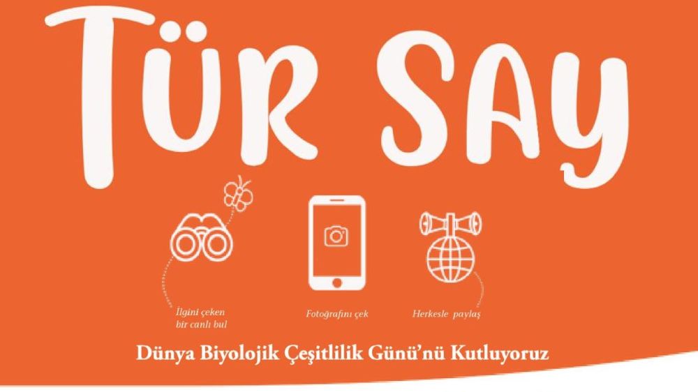 Antalya’da ilk Tür Say etkinliği düzenleniyor