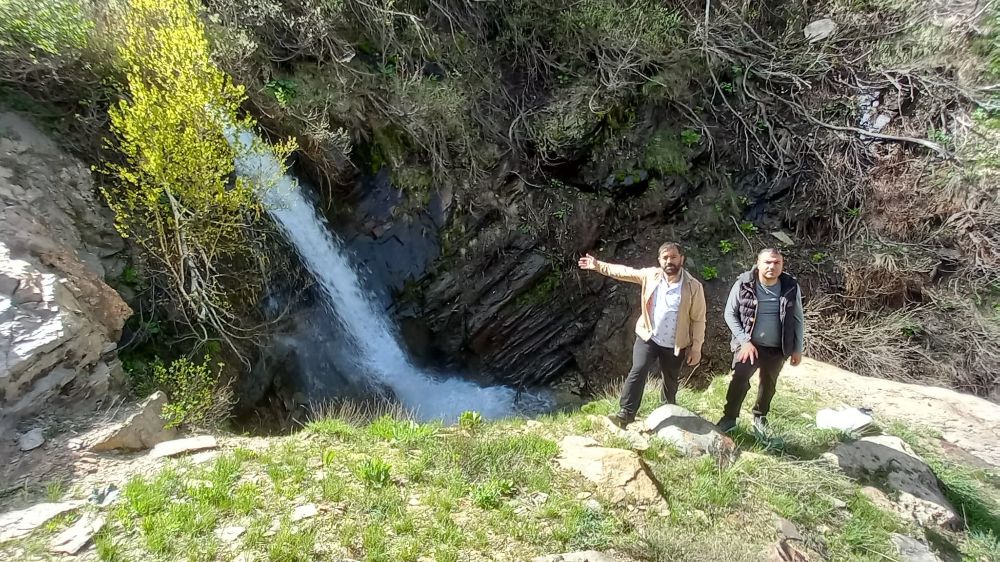 ayla Muzu Toplamak İçin Bitlisliler Dağların Zirvesine Tırmanıyor