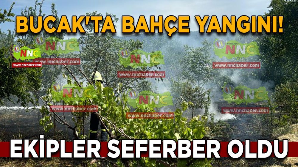 Bucak'ta bahçe yangını! Ekipler harekete geçti 