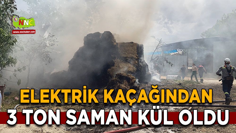 Burdur'da elektrik kaçağından 3 ton saman kül oldu