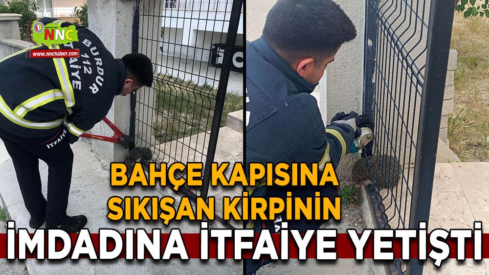 Burdur'da İtfaiyeden Hayvan Kurtarma Operasyonu!
