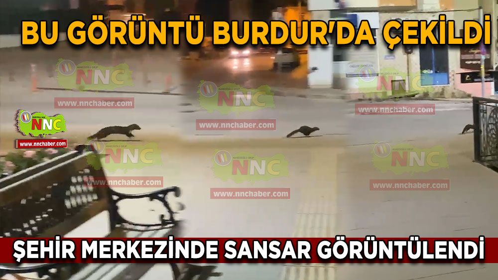 Burdur'da Şehir Merkezine Sansar İndi! 