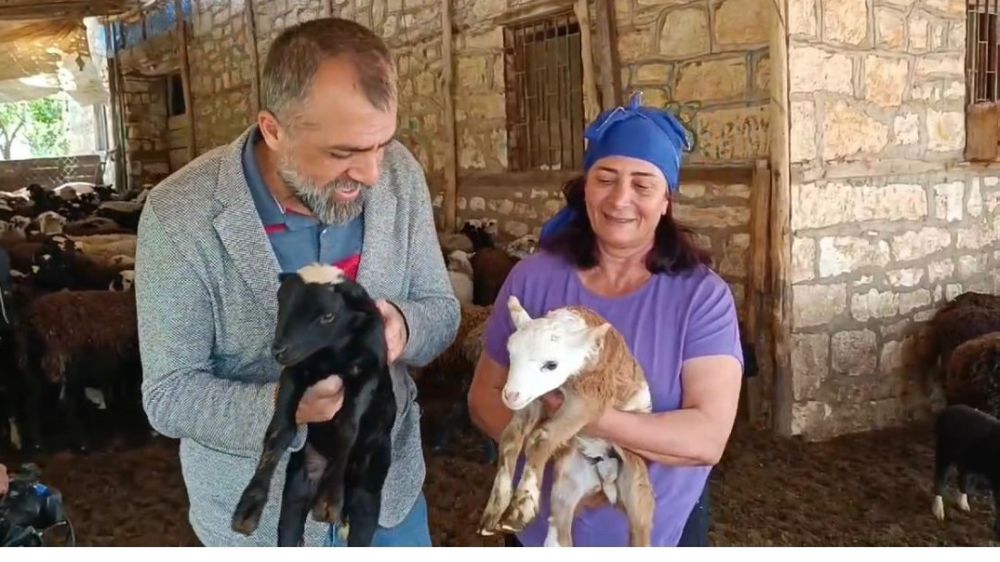 Devlet desteği ile başladığı yetiştiricilikte şimdi kurduğu tesisle binlerce hayvan sattı