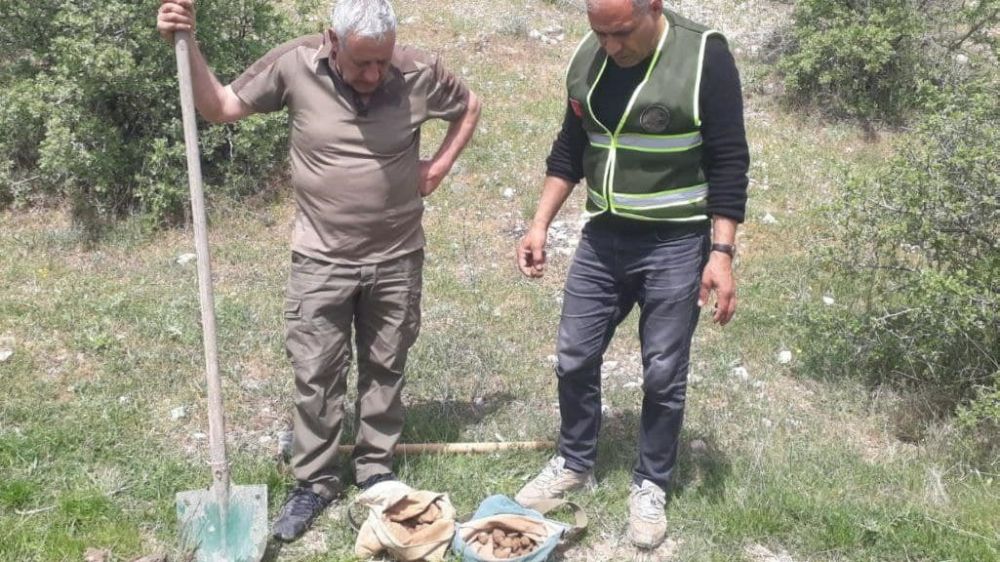 Elazığ'da Salep Soğanı Toplayan Kişilere Yüklü Ceza