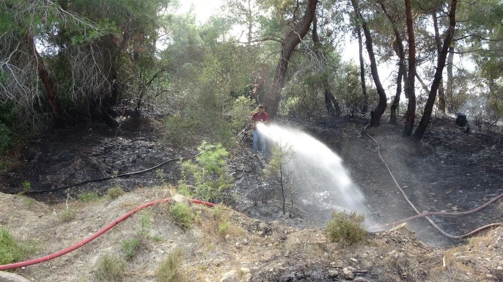 Manavgat'ta orman yangını panik yarattı