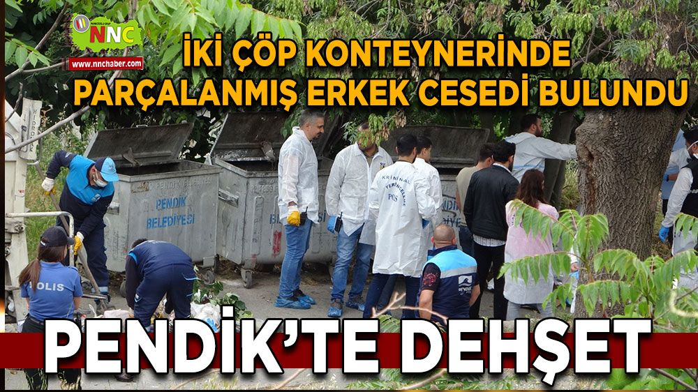 Pendik'te korkunç olay: Parçalanmış ceset bulundu