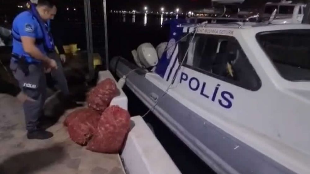 Samsun'da kaçak salyangoz avlayan kişiye 66 bin TL ceza