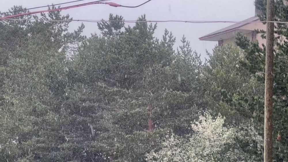  Sivas'ın İmranlı ilçesinde Mayıs ayında lapa lapa kar yağdı