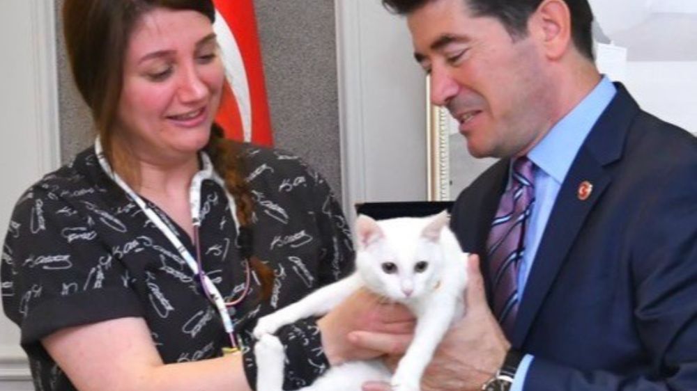 ‘Sütlaç’ Ortahisar Belediyesi’nin kedisi oldu