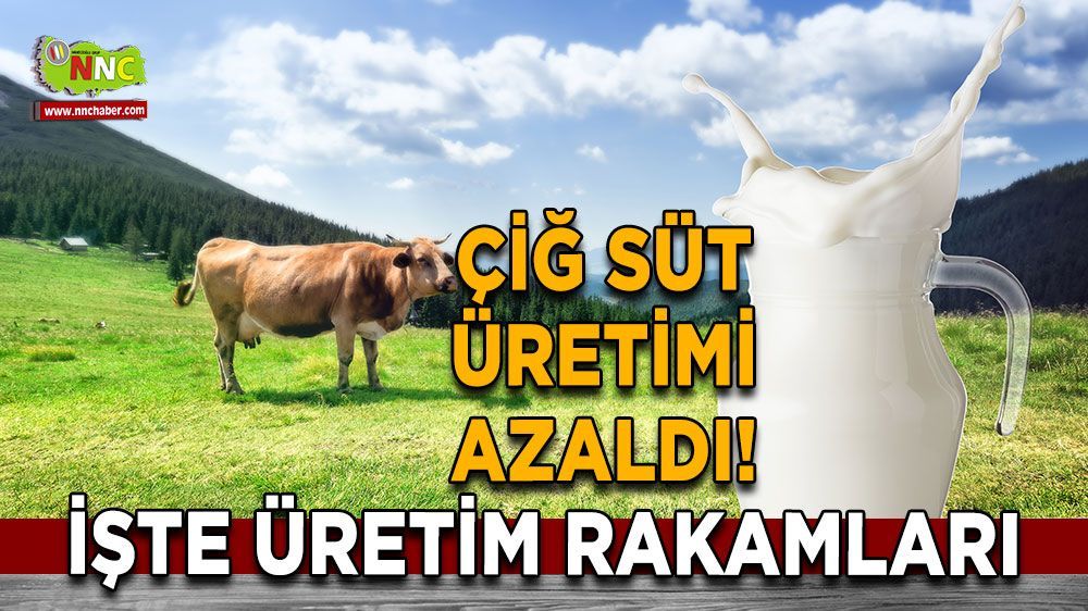 TÜİK: Türkiye'de 2023'te Çiğ Süt Üretimi Azaldı