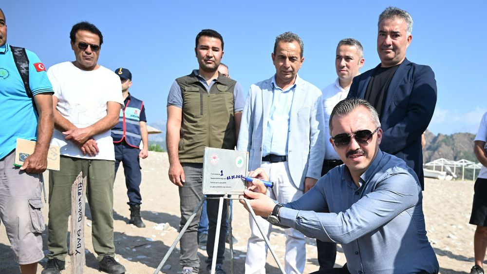 Turistler, Çıralı'ya caretta carettaları görmek için geliyor