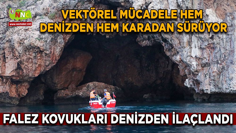 Vektörel mücadele hem denizden hem karadan sürüyor