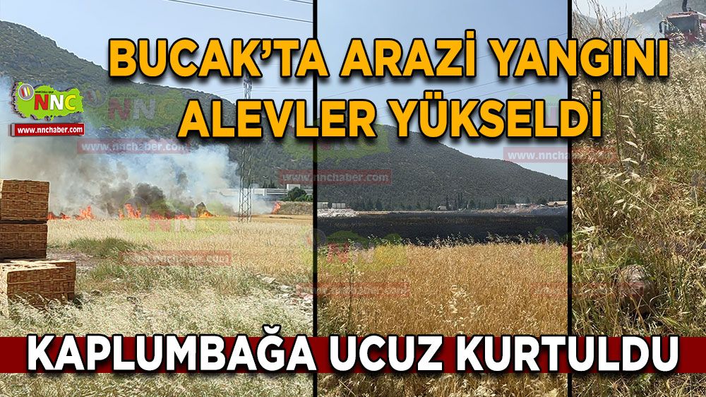 Antalya Burdur karayolunda arazi yangını! Ekipler seferber oldu