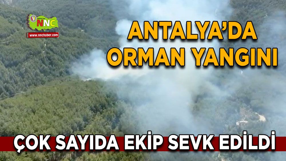 Antalya'da orman yangını Çok sayıda ekip sevk edildi