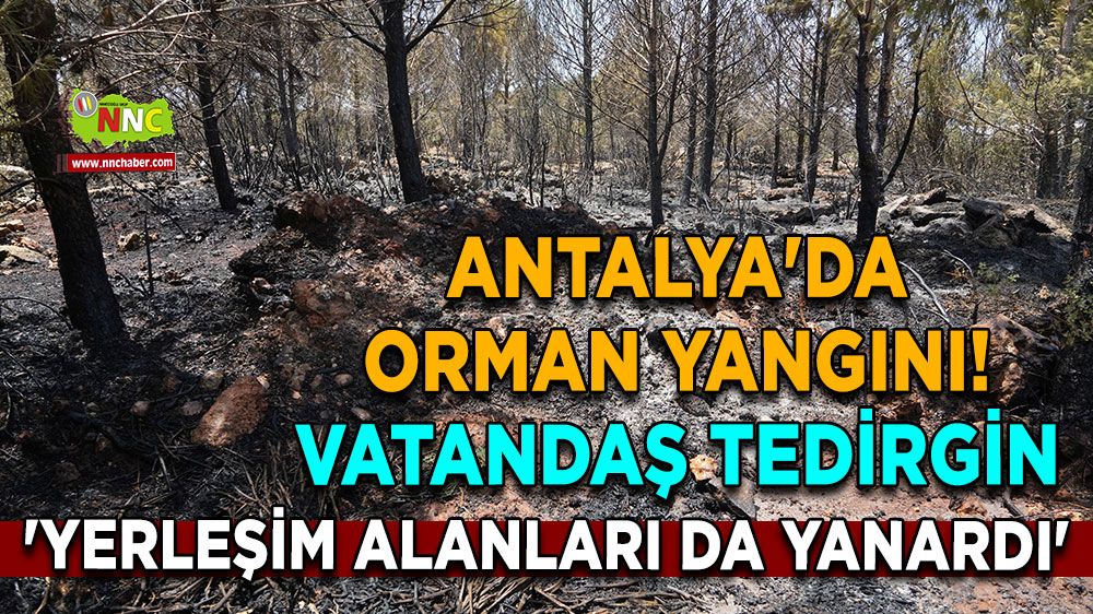 Antalya'da orman yangını! Vatandaş tedirgin 'Yerleşim alanları da yanardı'