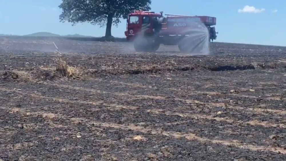 Balıkesir'de buğday ekili tarlada yangın Tonlarca buğday kül oldu