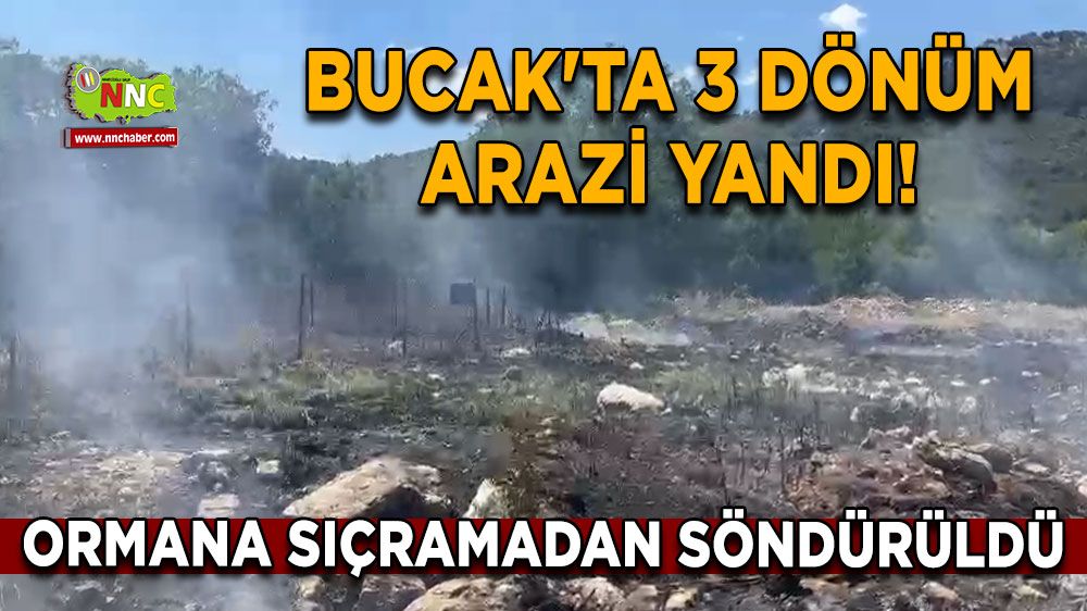 Bucak'ta 3 dönüm arazi yandı! Ormana sıçramadan söndürüldü