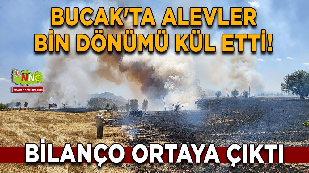 Bucak'ta alevler bin dönümü kül etti! Bilanço ortaya çıktı